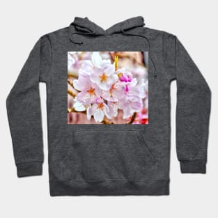 Delicate Washington Cherry Blossoms Macro - Watercolor Effect Hoodie